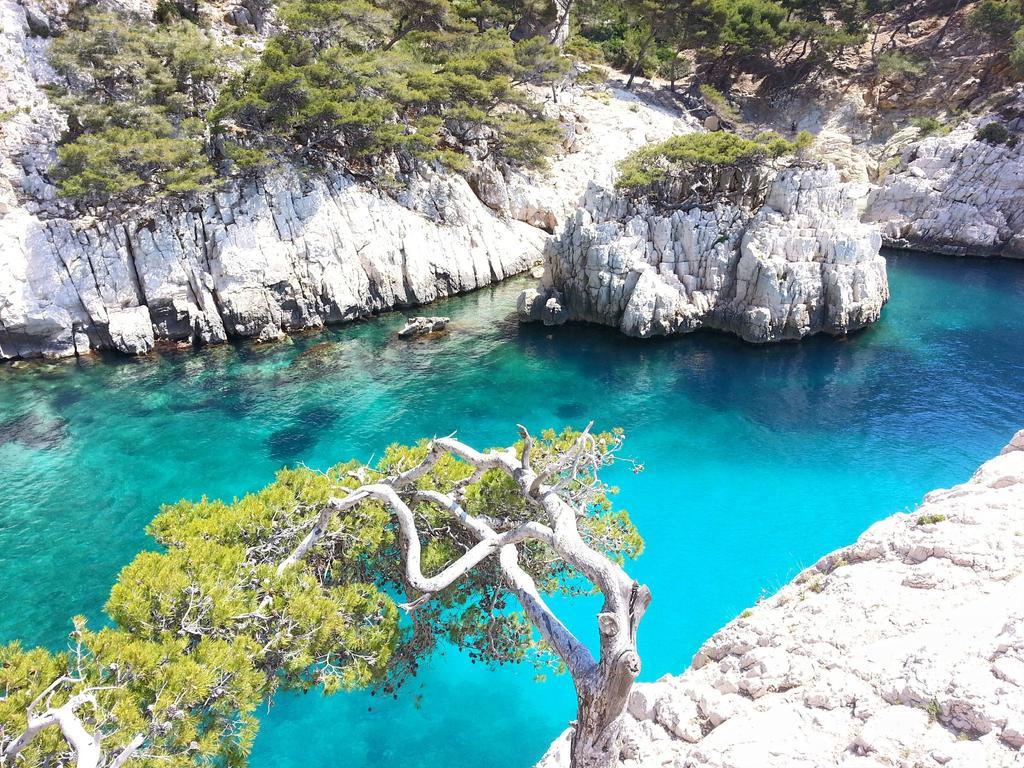 La Palmeraie Marseille Luaran gambar