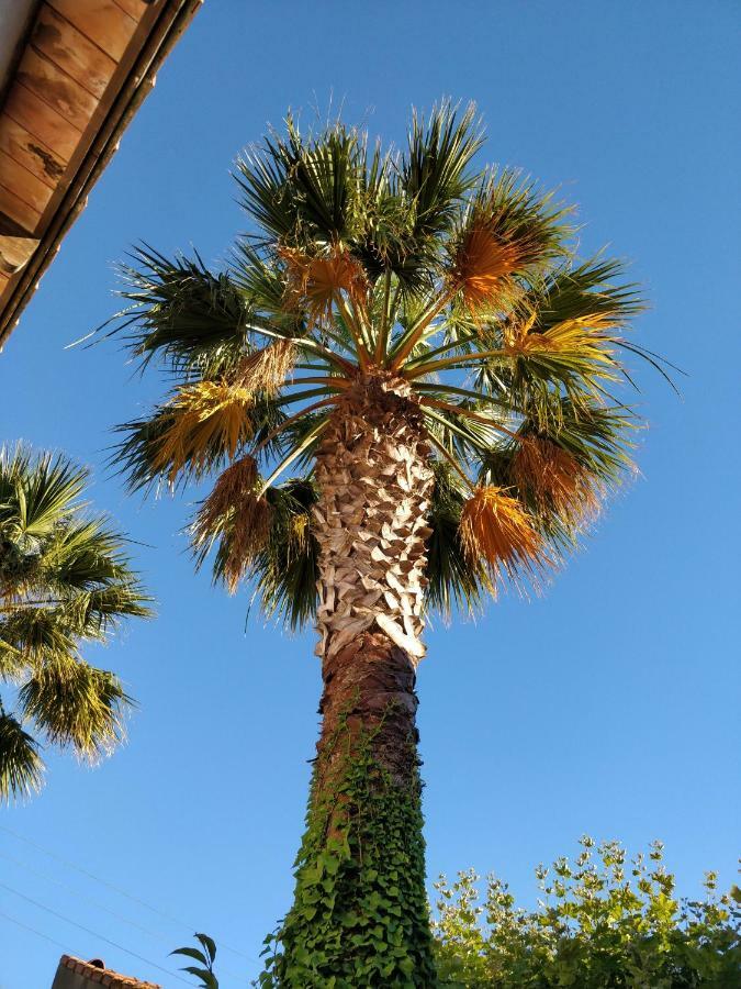 La Palmeraie Marseille Luaran gambar